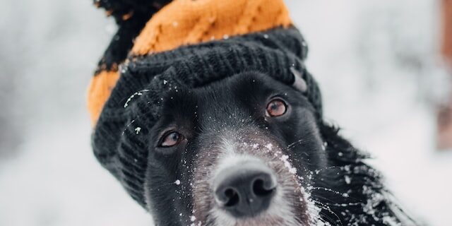 tadeusz-lakota-eV_iPlkHwgQ-unsplash